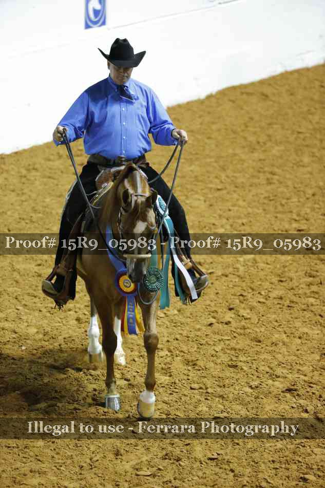 Proof Number 15R9_05983