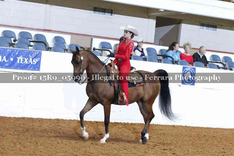 Proof Number 15R9_05990