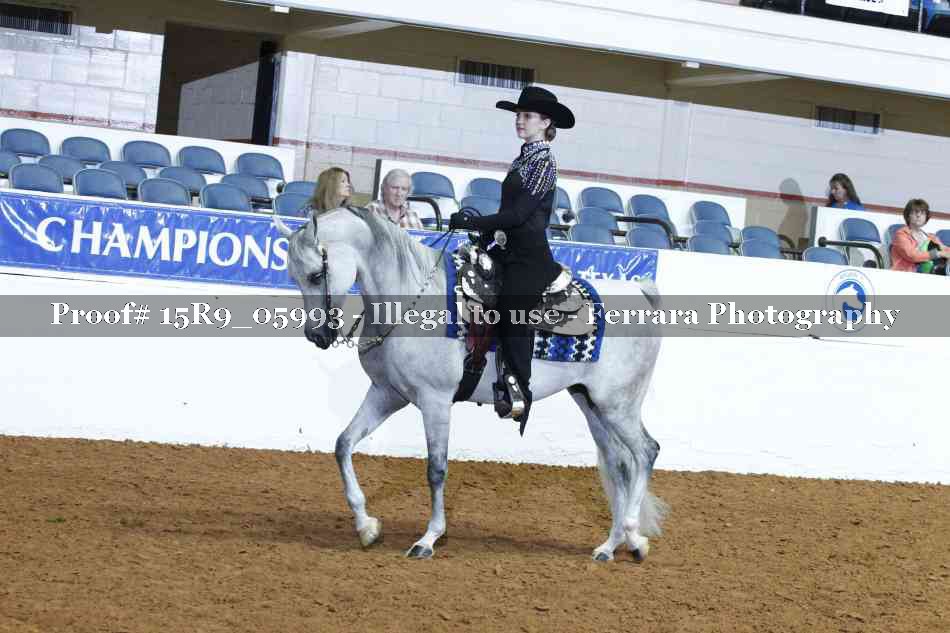 Proof Number 15R9_05993
