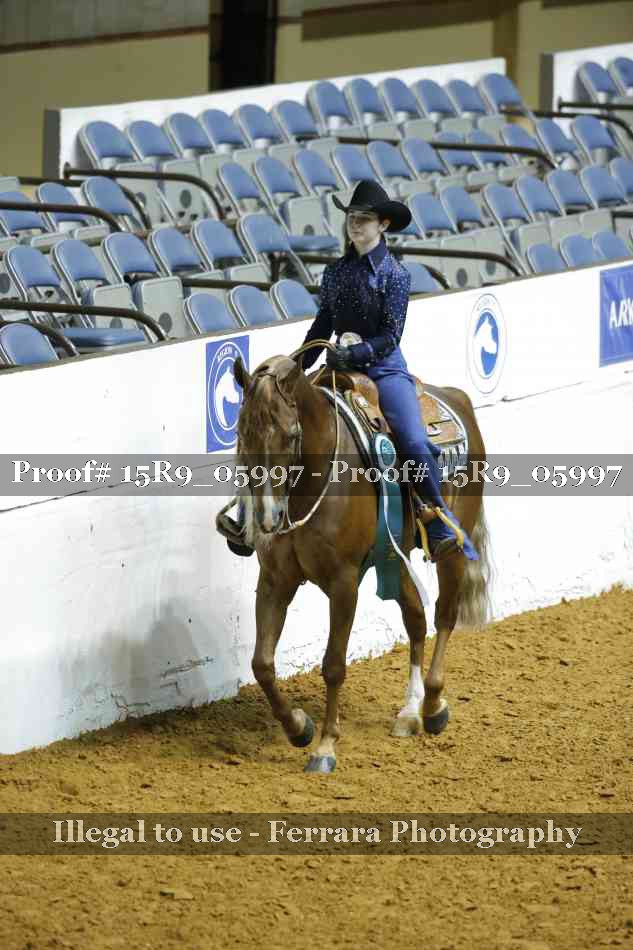 Proof Number 15R9_05997