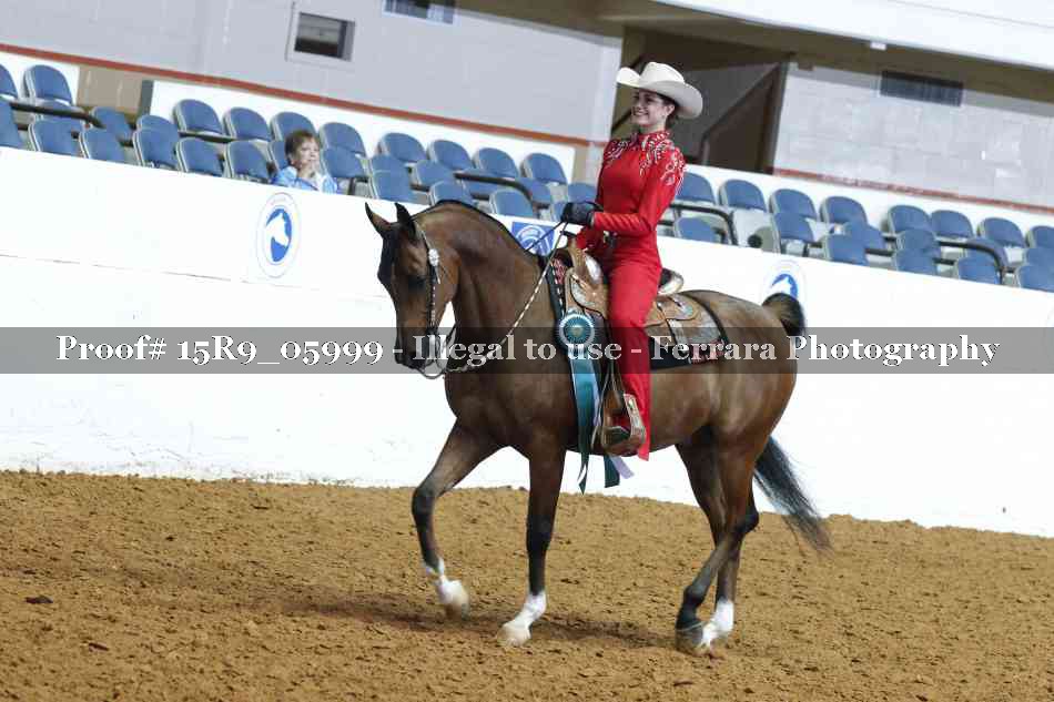Proof Number 15R9_05999