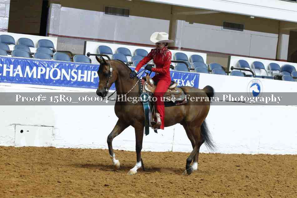 Proof Number 15R9_06004