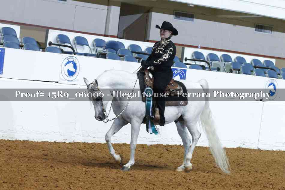 Proof Number 15R9_06006