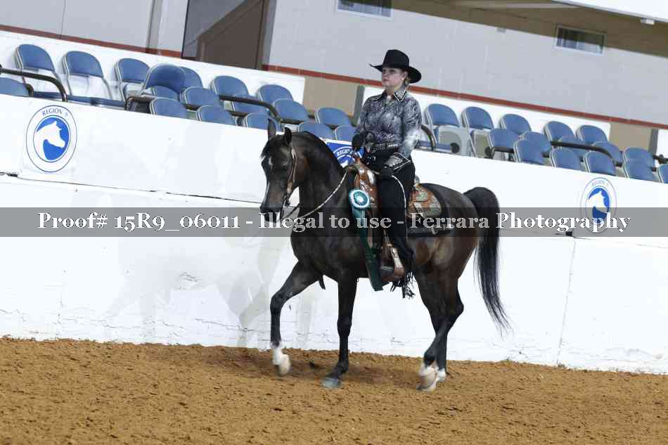 Proof Number 15R9_06011