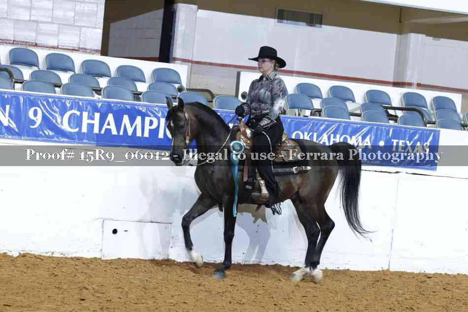 Proof Number 15R9_06012