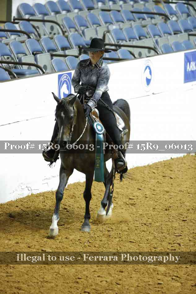 Proof Number 15R9_06013