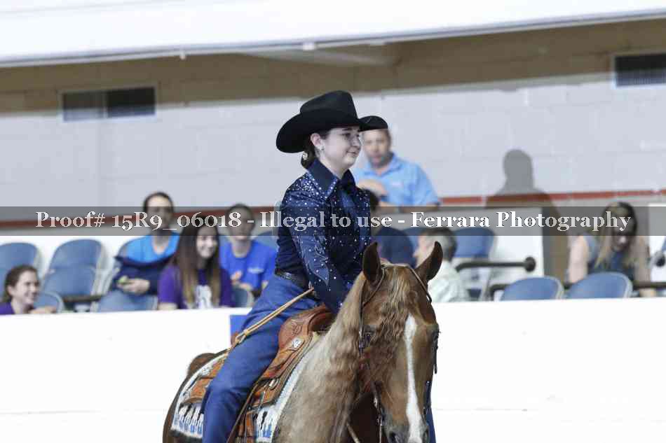 Proof Number 15R9_06018