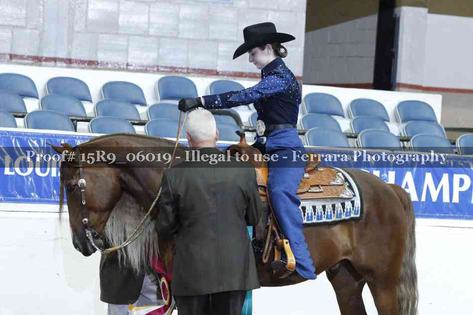 Proof Number 15R9_06019
