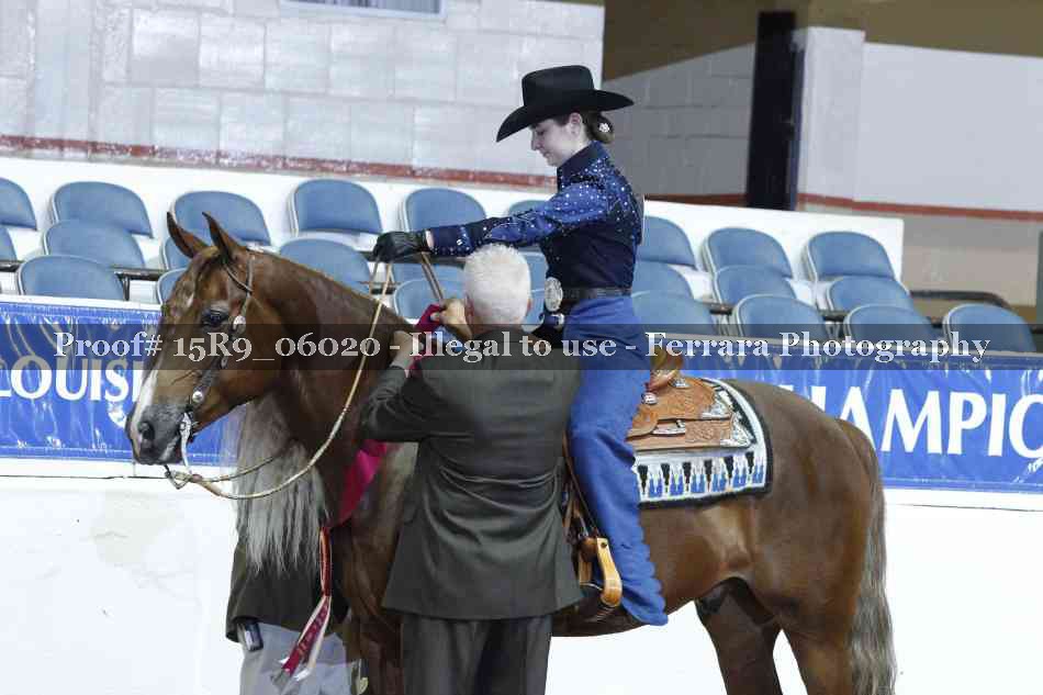 Proof Number 15R9_06020