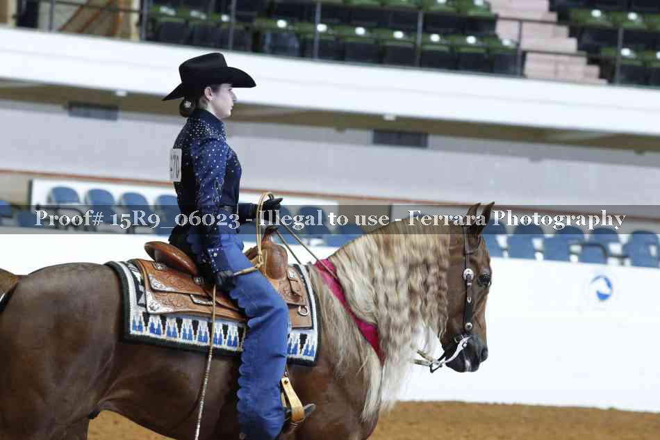 Proof Number 15R9_06023