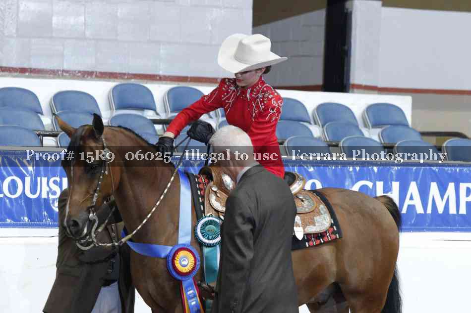 Proof Number 15R9_06025