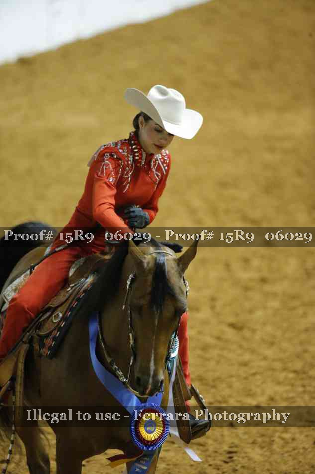 Proof Number 15R9_06029