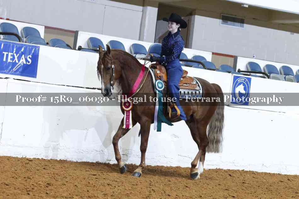 Proof Number 15R9_06030