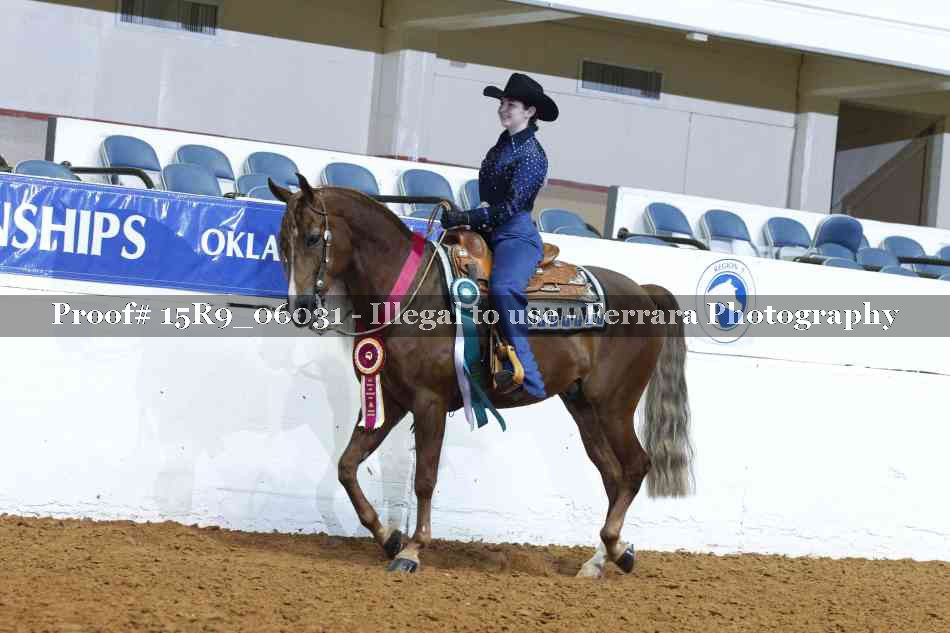 Proof Number 15R9_06031