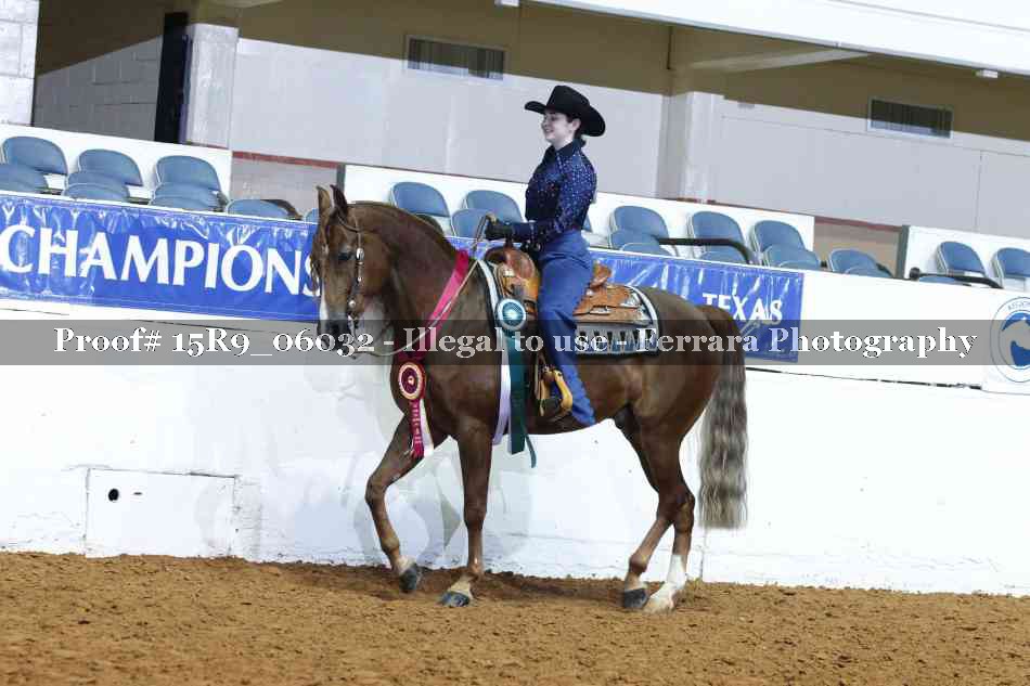Proof Number 15R9_06032
