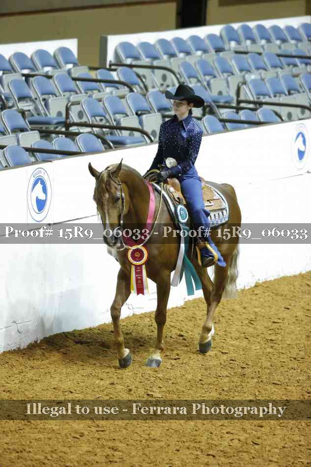 Proof Number 15R9_06033