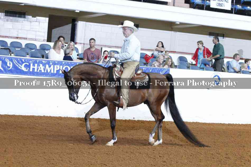 Proof Number 15R9_06051