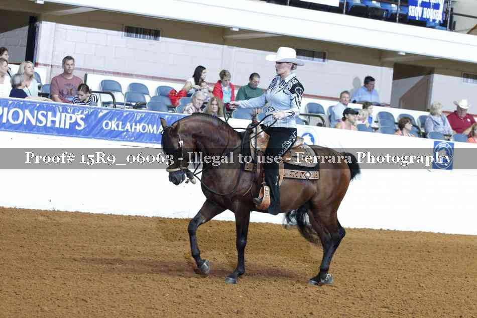 Proof Number 15R9_06063