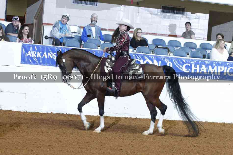 Proof Number 15R9_06071