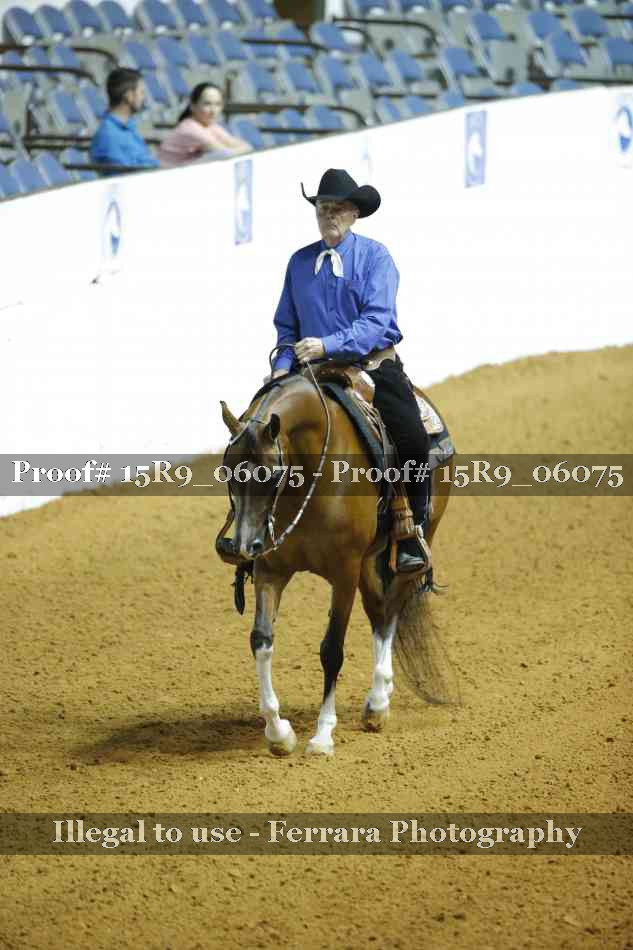 Proof Number 15R9_06075