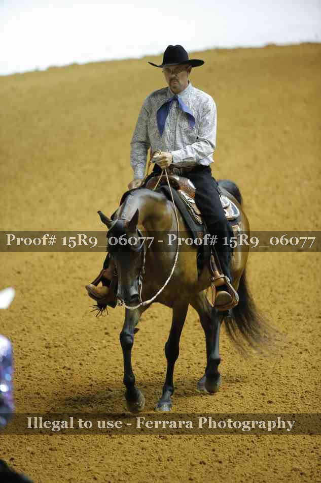 Proof Number 15R9_06077