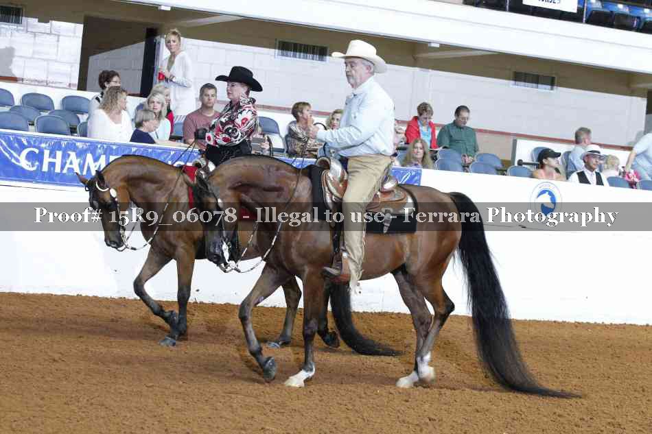 Proof Number 15R9_06078