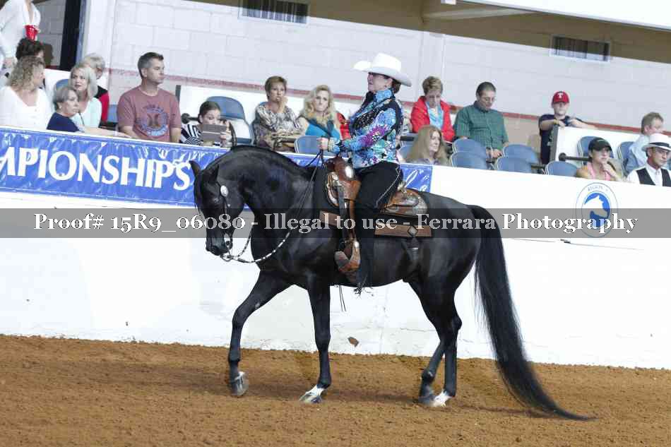 Proof Number 15R9_06080