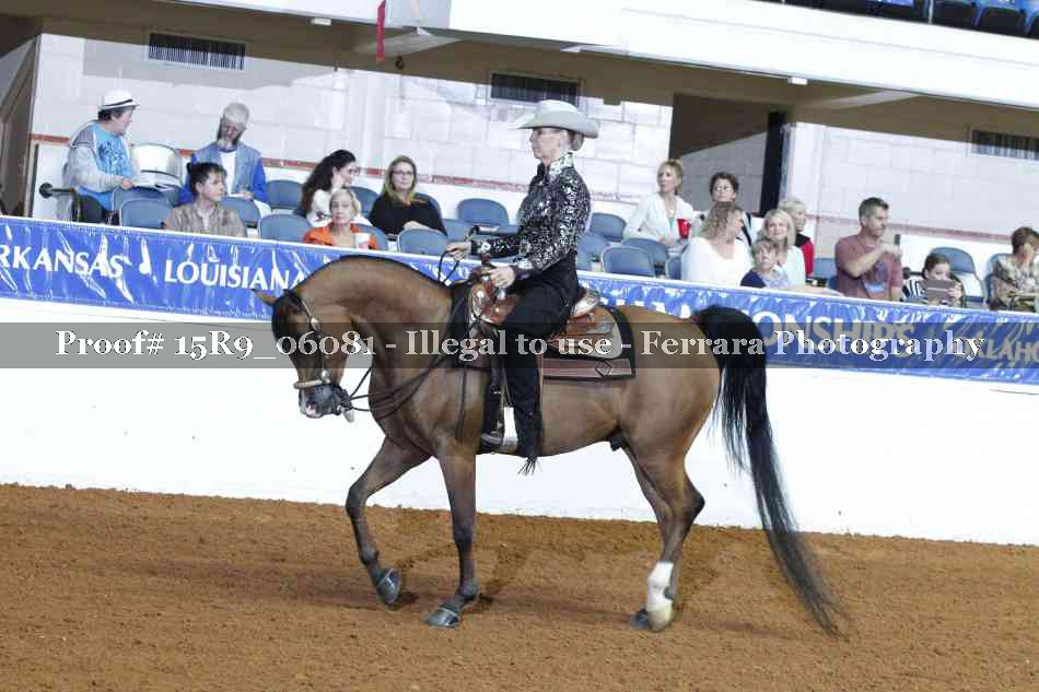 Proof Number 15R9_06081