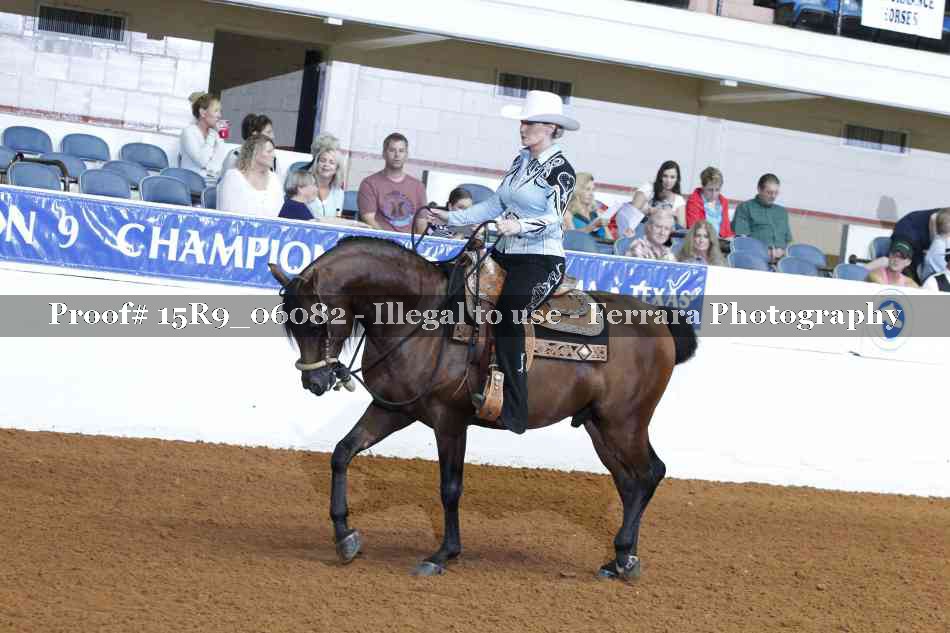 Proof Number 15R9_06082