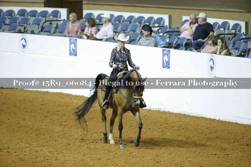 Proof Number 15R9_06084