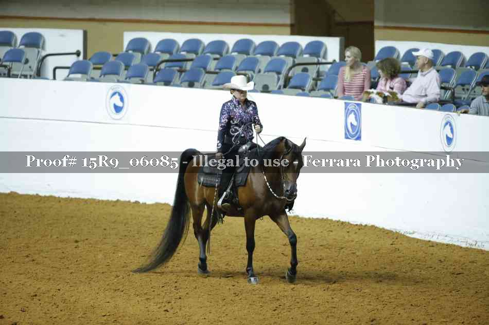 Proof Number 15R9_06085