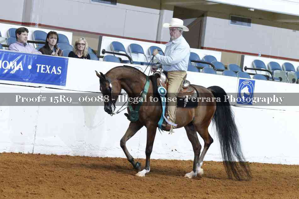 Proof Number 15R9_06088