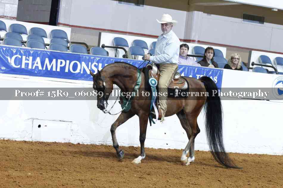 Proof Number 15R9_06089