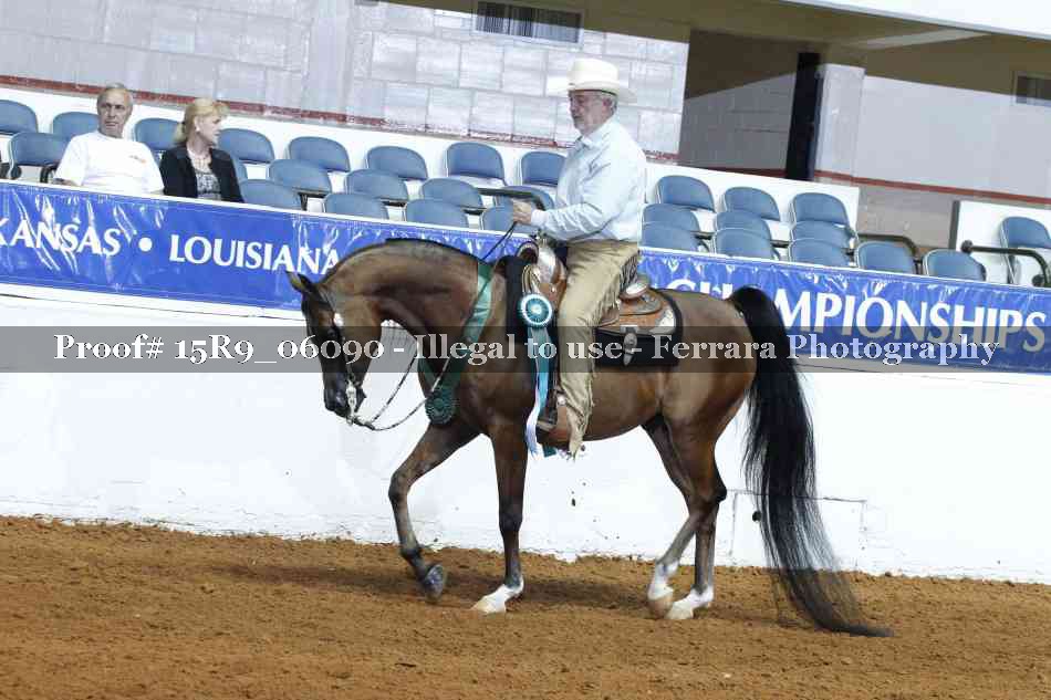 Proof Number 15R9_06090