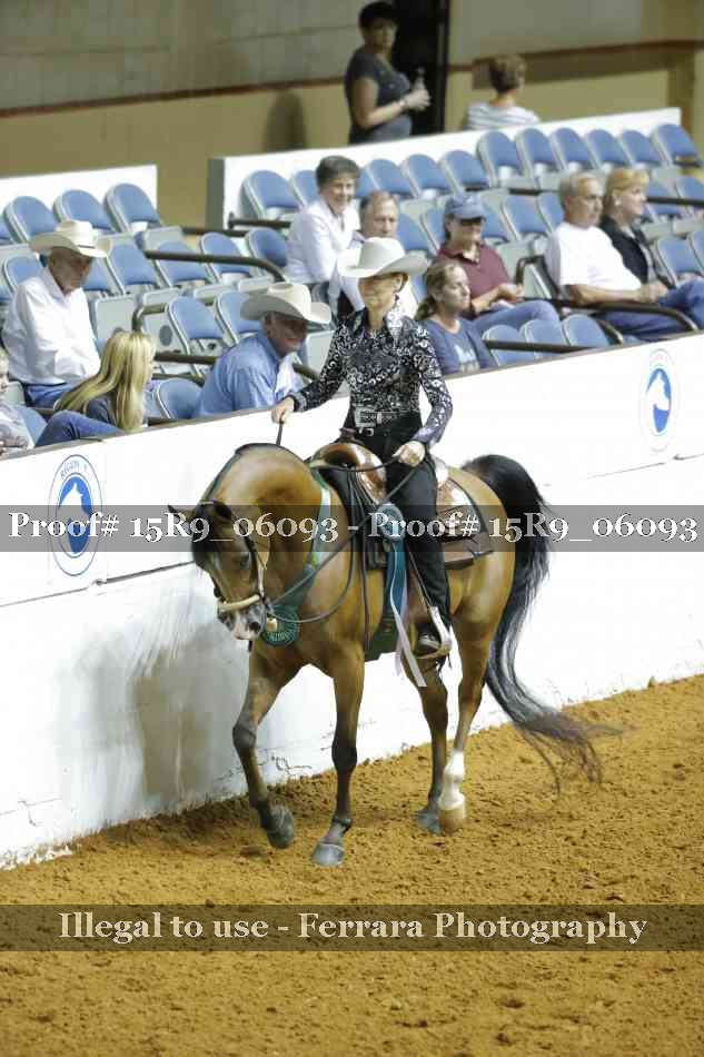 Proof Number 15R9_06093