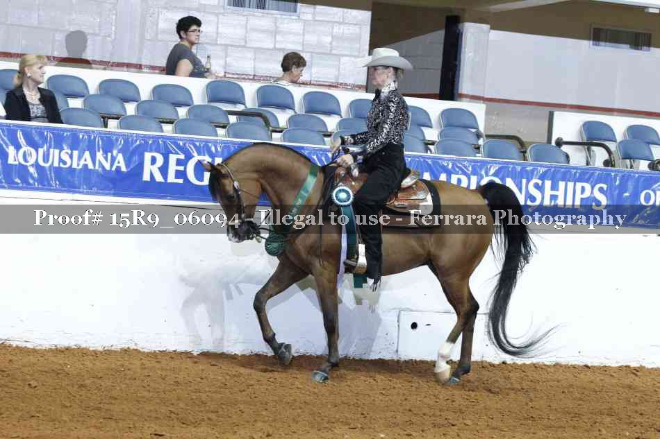 Proof Number 15R9_06094
