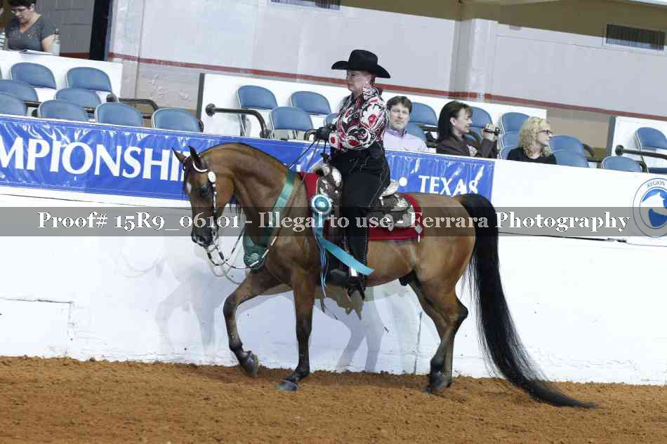 Proof Number 15R9_06101