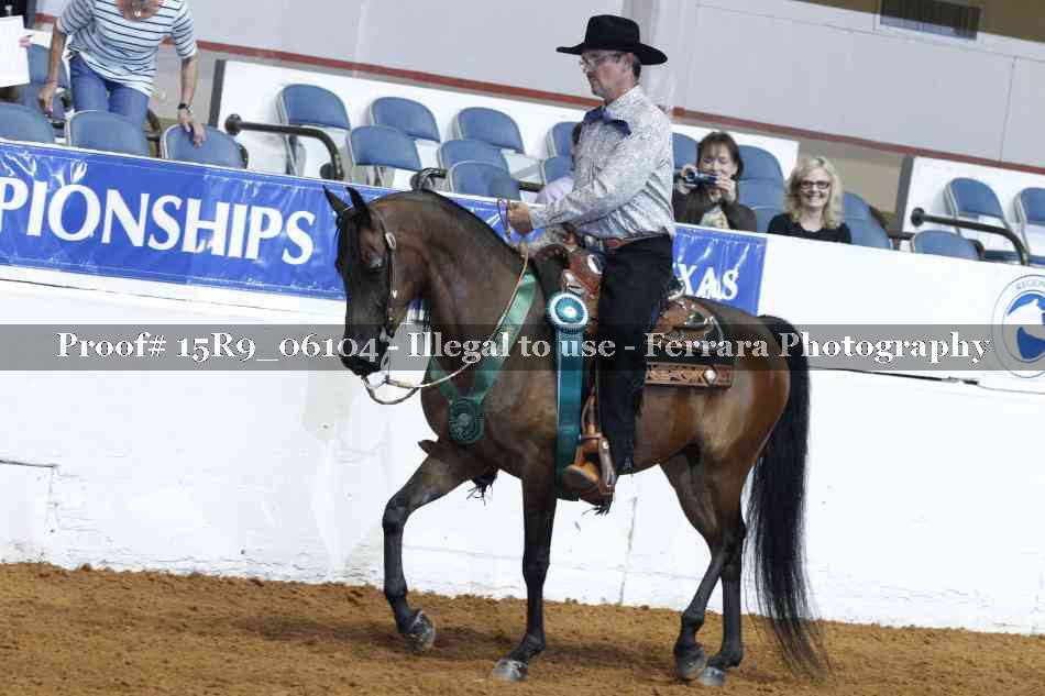 Proof Number 15R9_06104