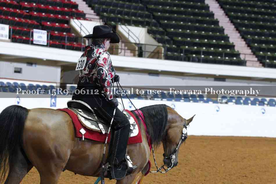 Proof Number 15R9_06112