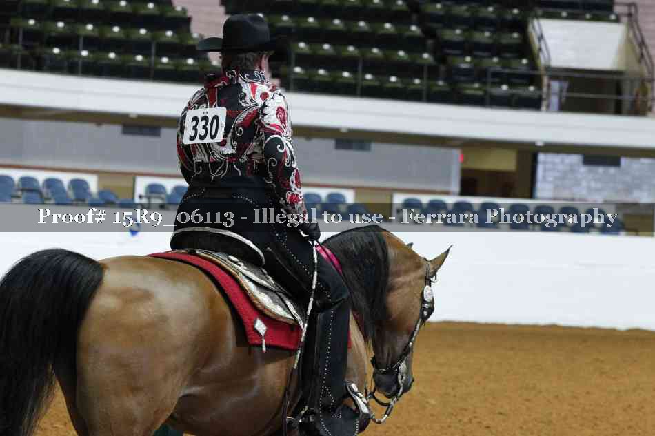 Proof Number 15R9_06113