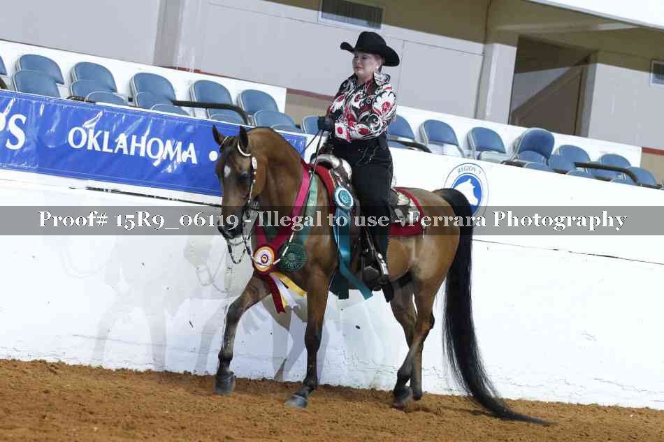 Proof Number 15R9_06119