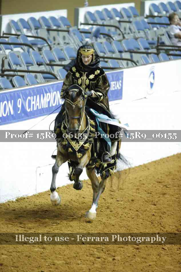 Proof Number 15R9_06155