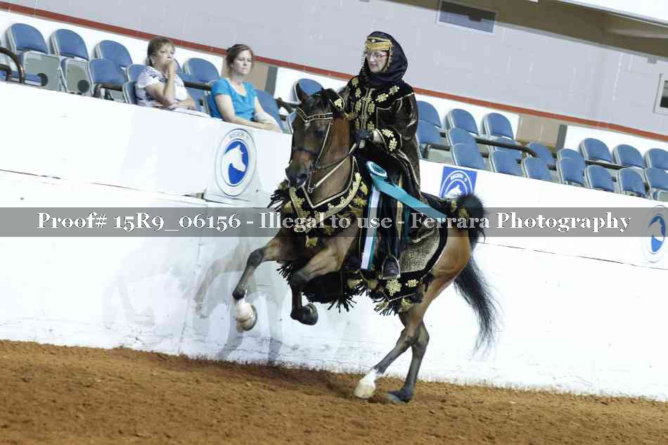 Proof Number 15R9_06156