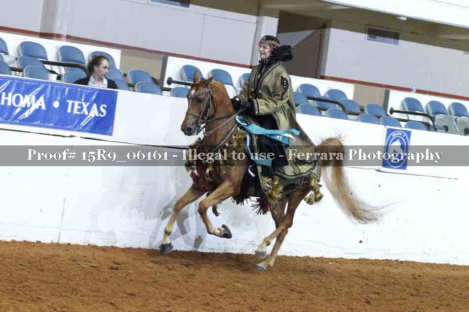 Proof Number 15R9_06161