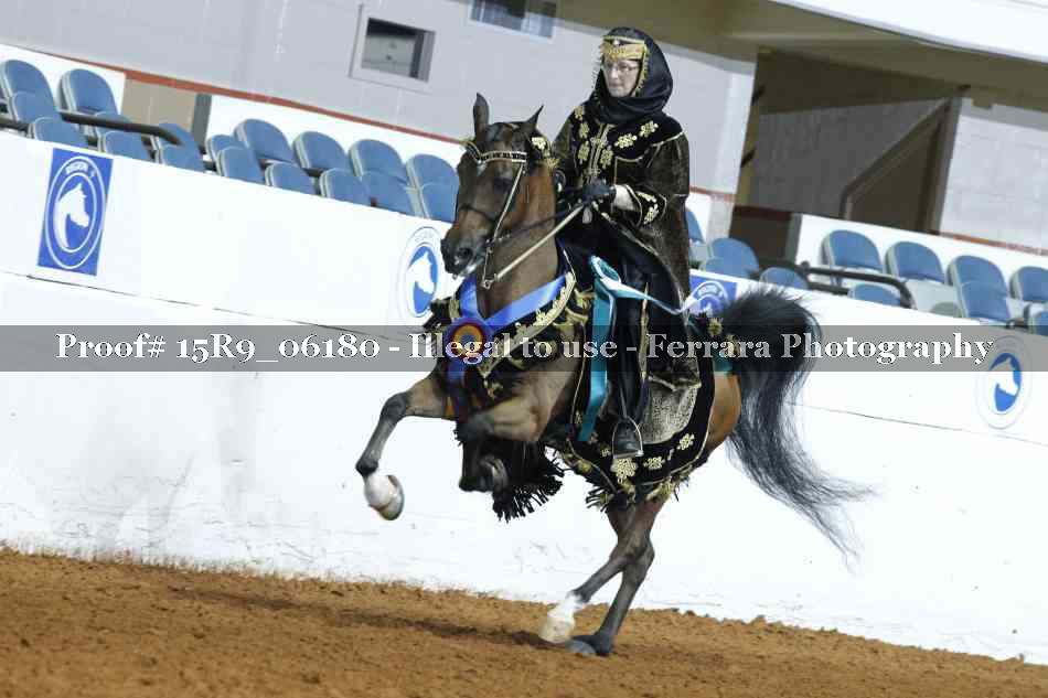 Proof Number 15R9_06180
