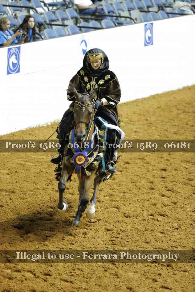 Proof Number 15R9_06181