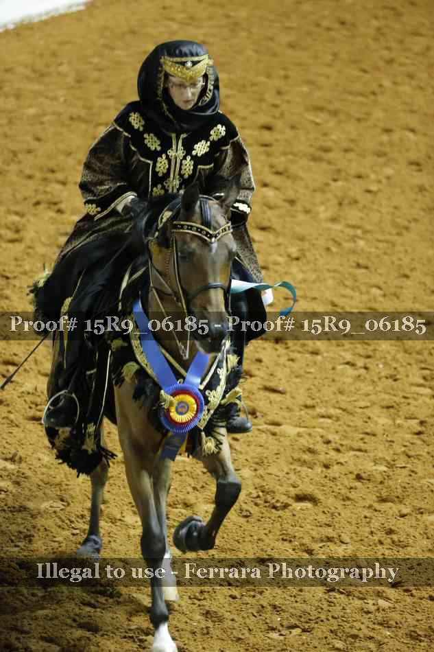 Proof Number 15R9_06185