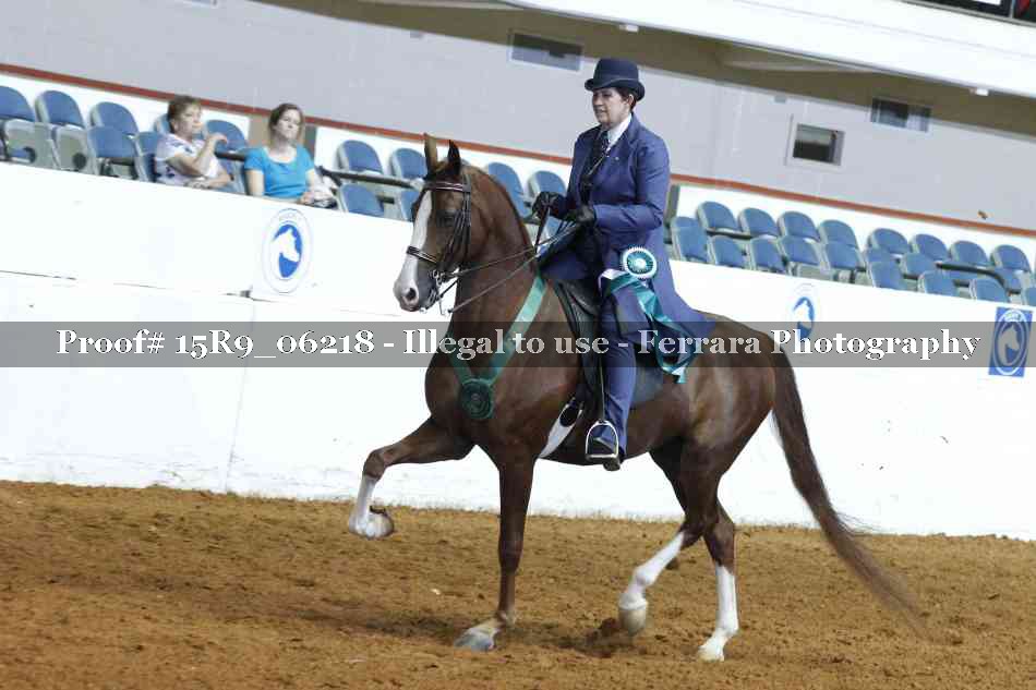 Proof Number 15R9_06218