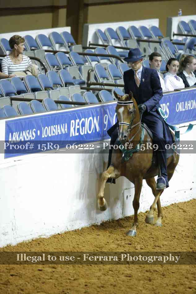 Proof Number 15R9_06222