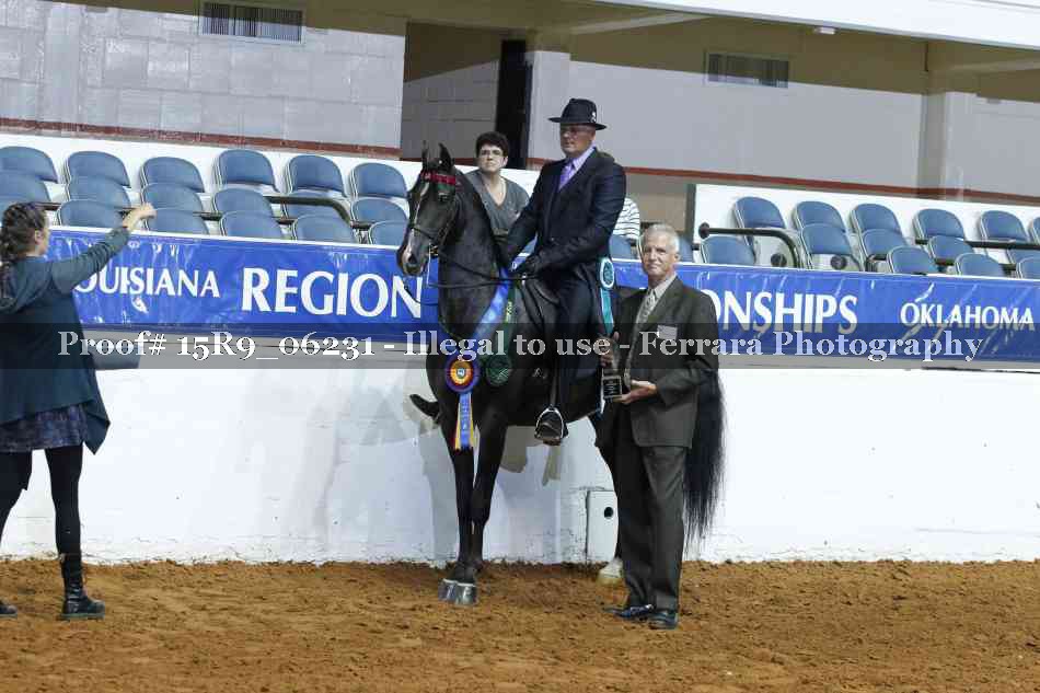Proof Number 15R9_06231